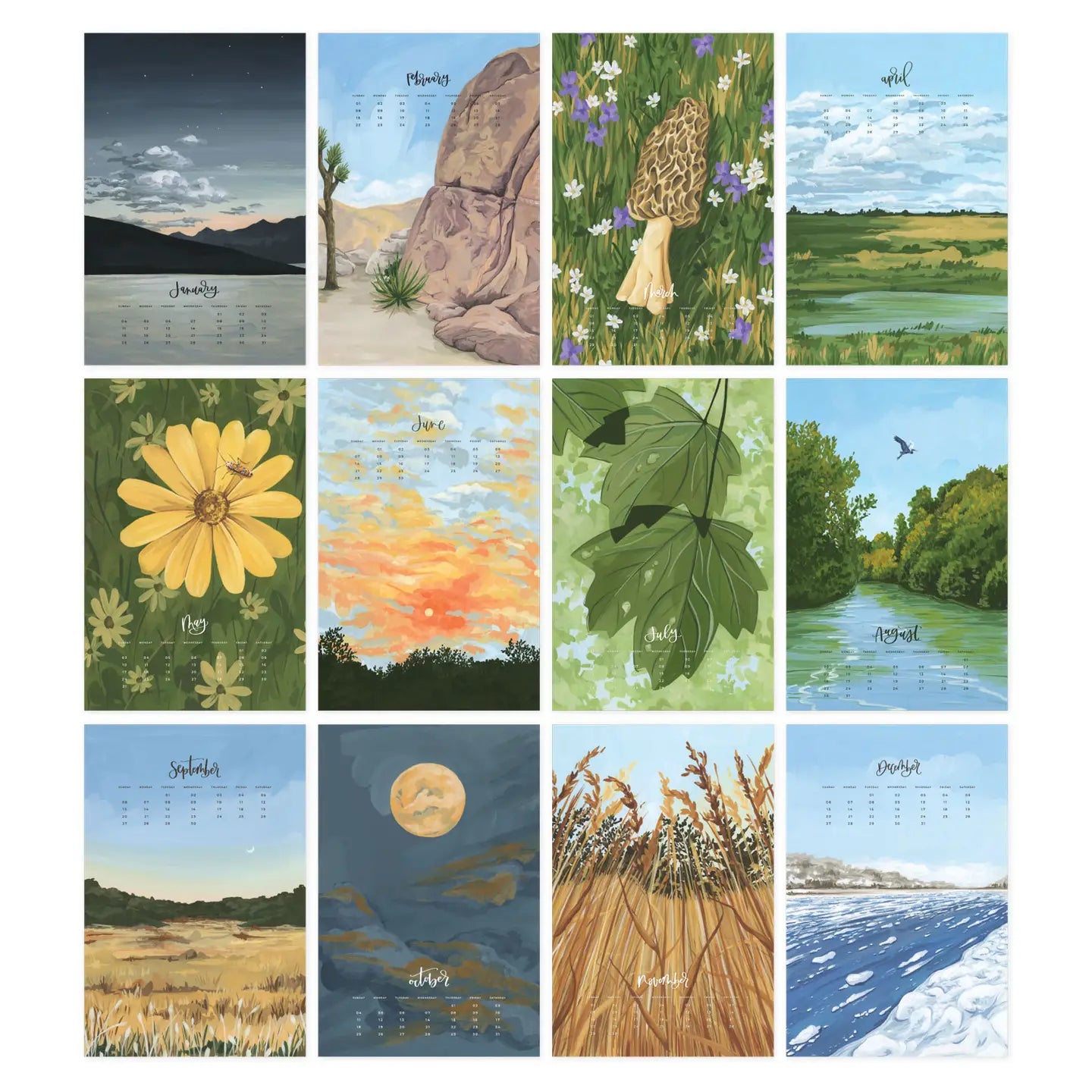 Natural World - 2026 XL Calendar